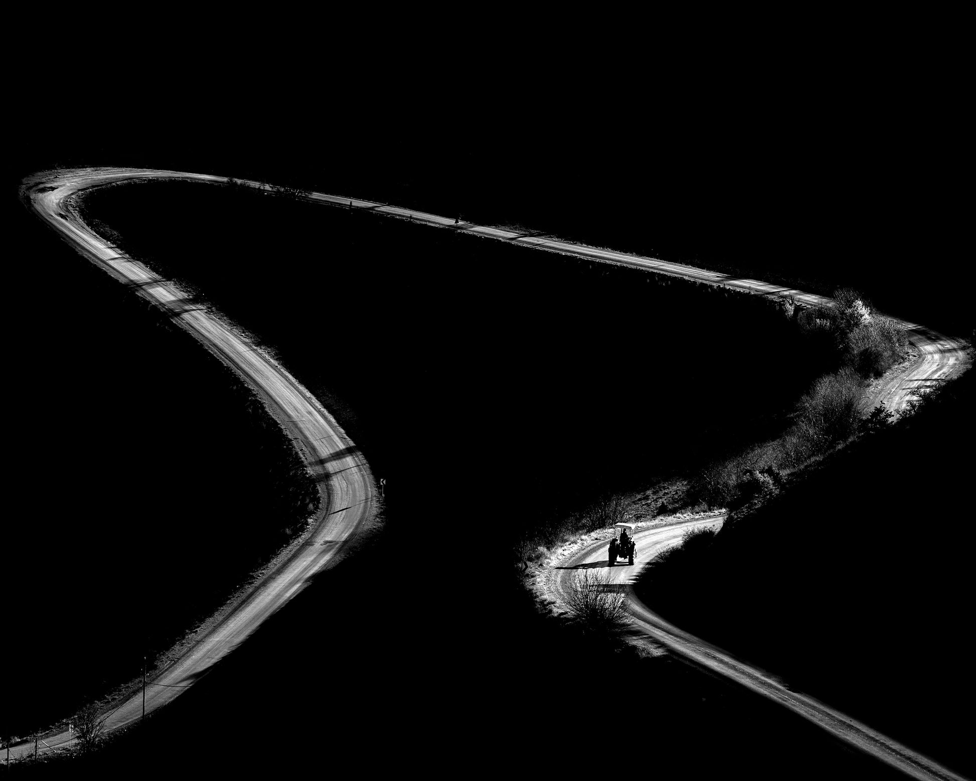 Curved Lines No1
