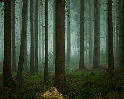 The Cold Dark Days Of Winter