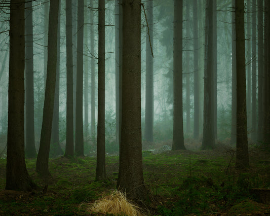 The Cold Dark Days Of Winter