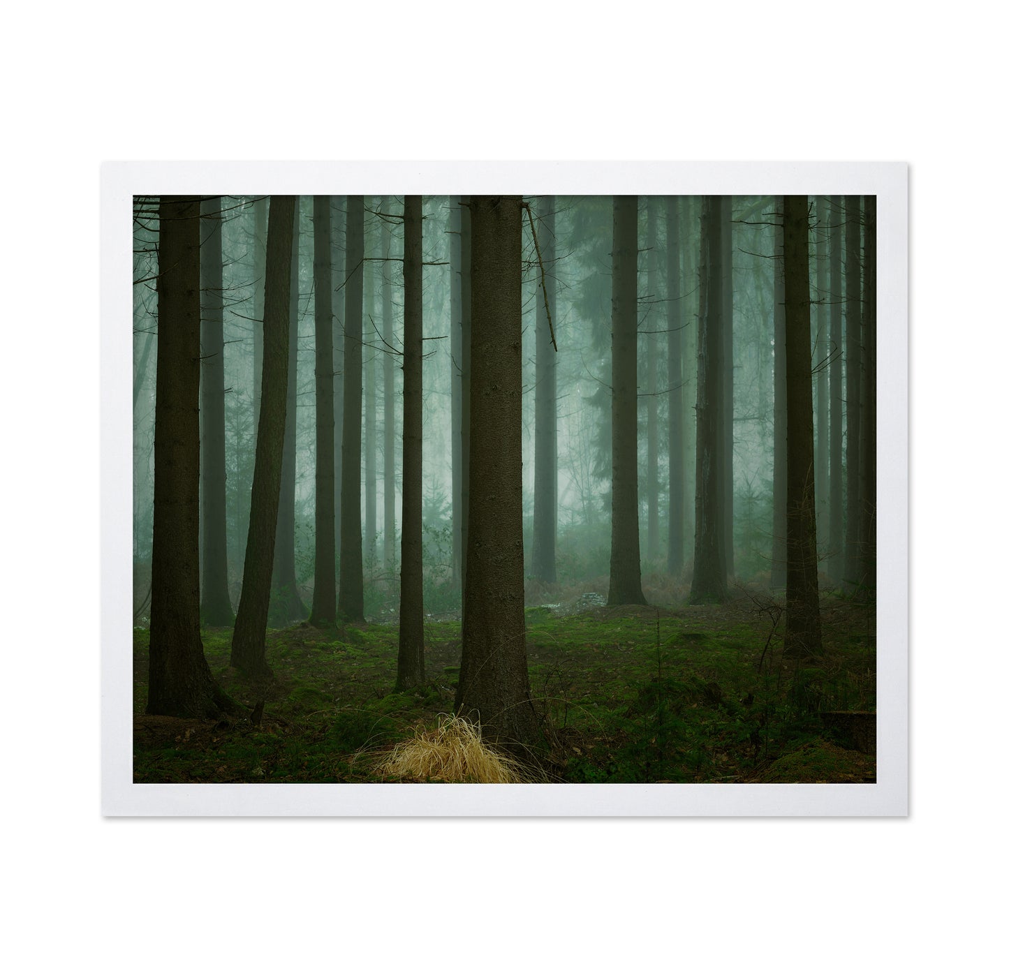 The Cold Dark Days Of Winter