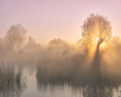Silence No 3