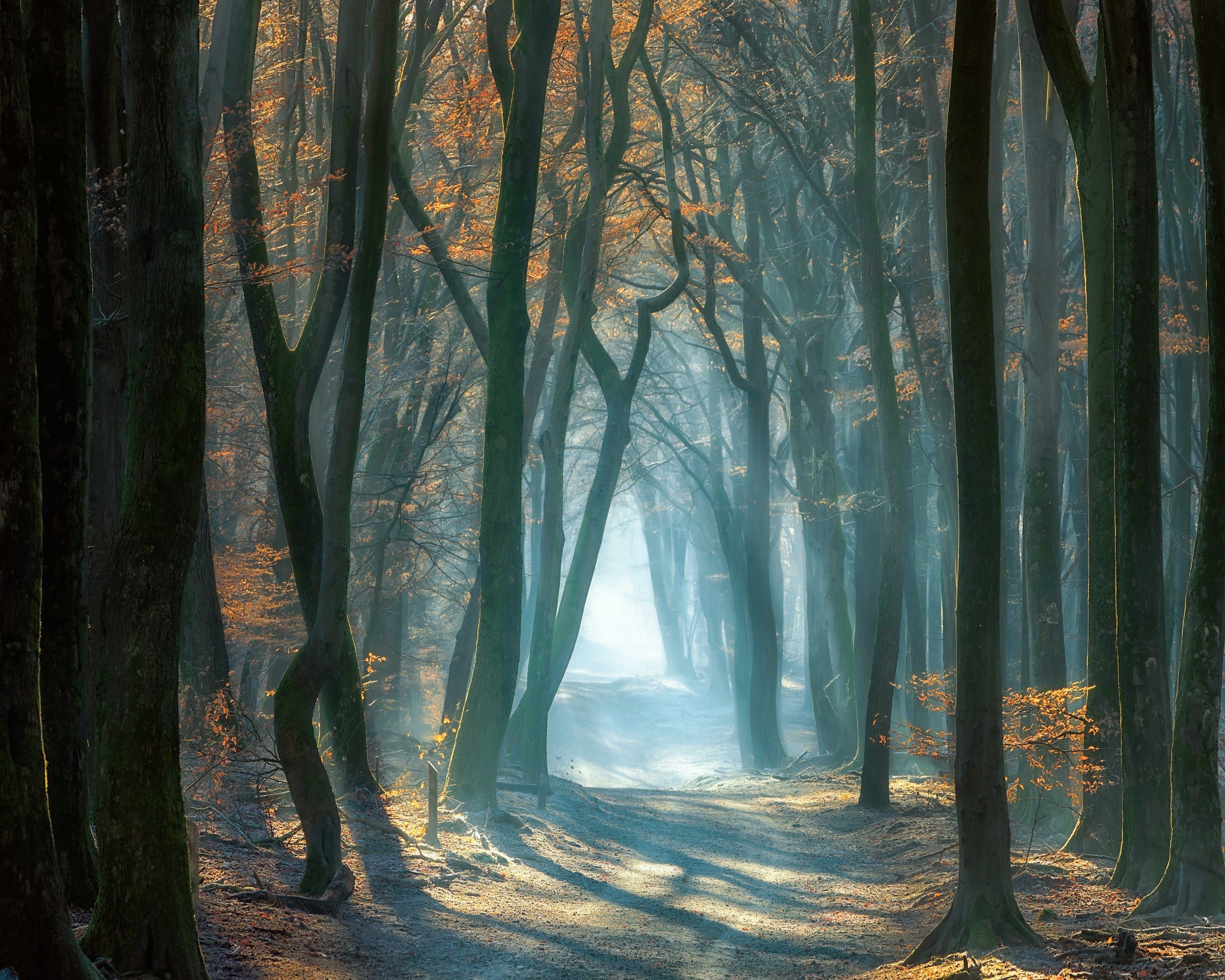 Cold Light – Poster Master