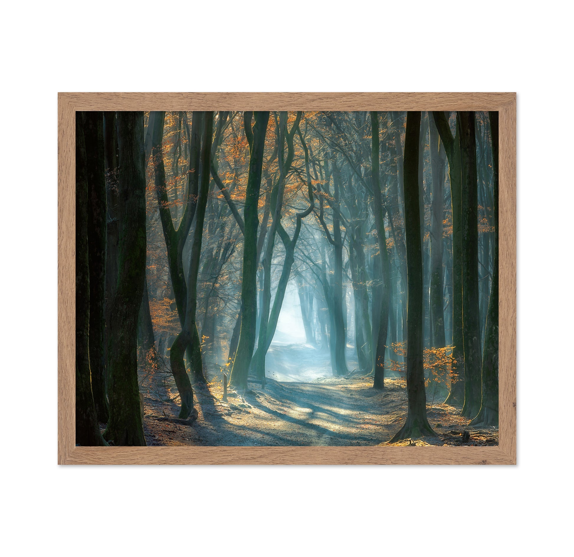 Cold Light