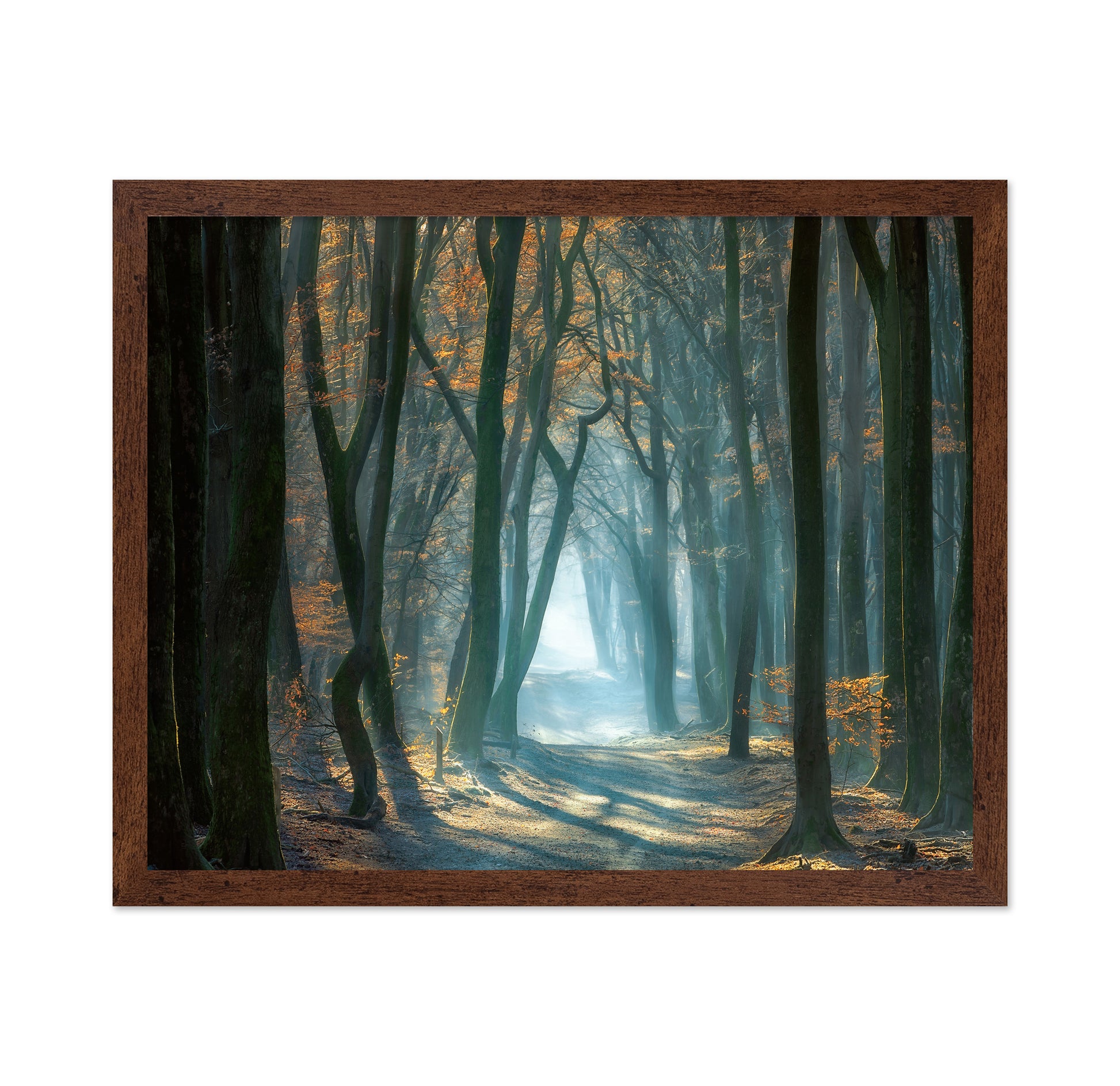 Cold Light