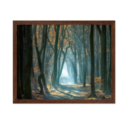 Cold Light
