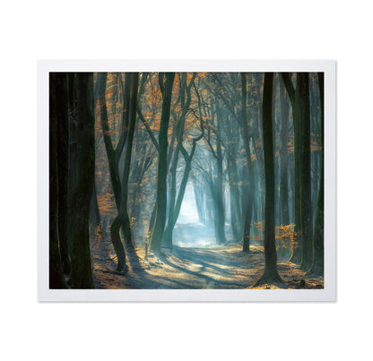 Cold Light