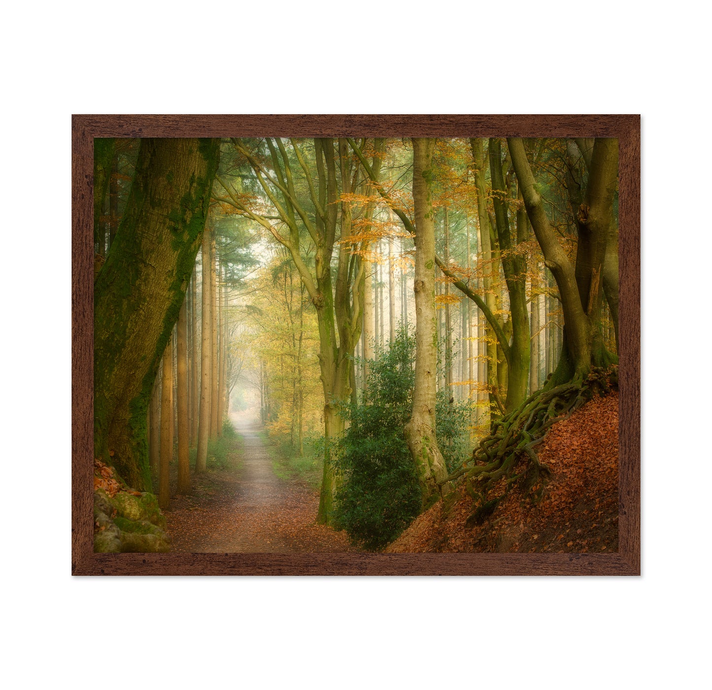 Following Fog
