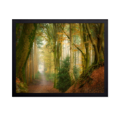 Following Fog