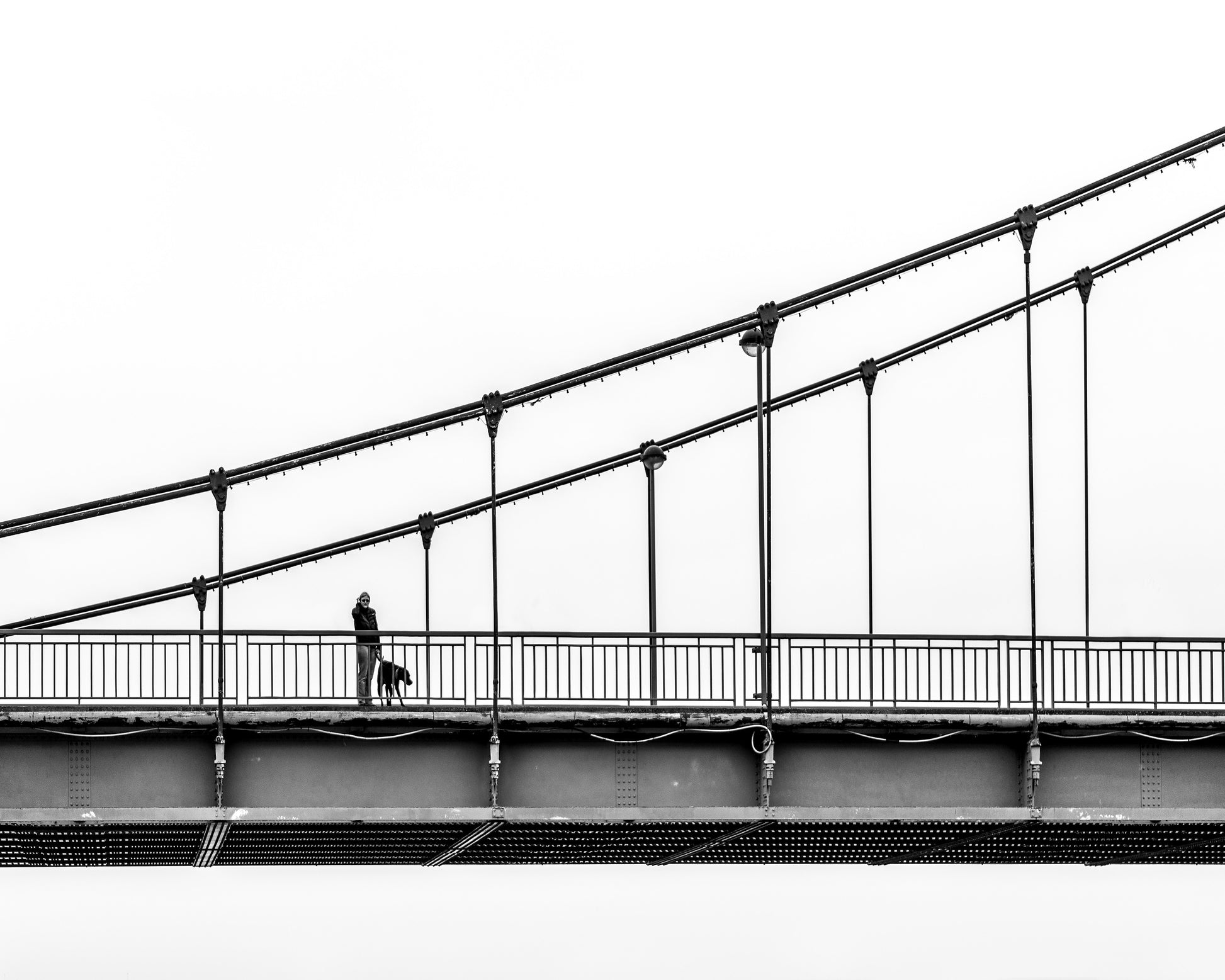 Suspension Bridge Walk