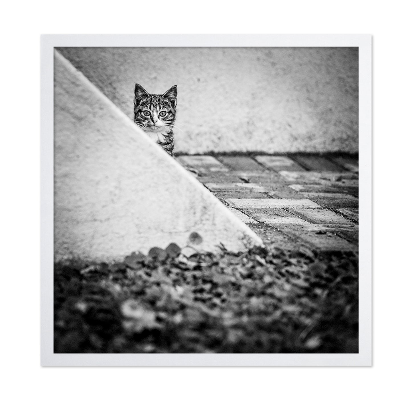 Corner Cat