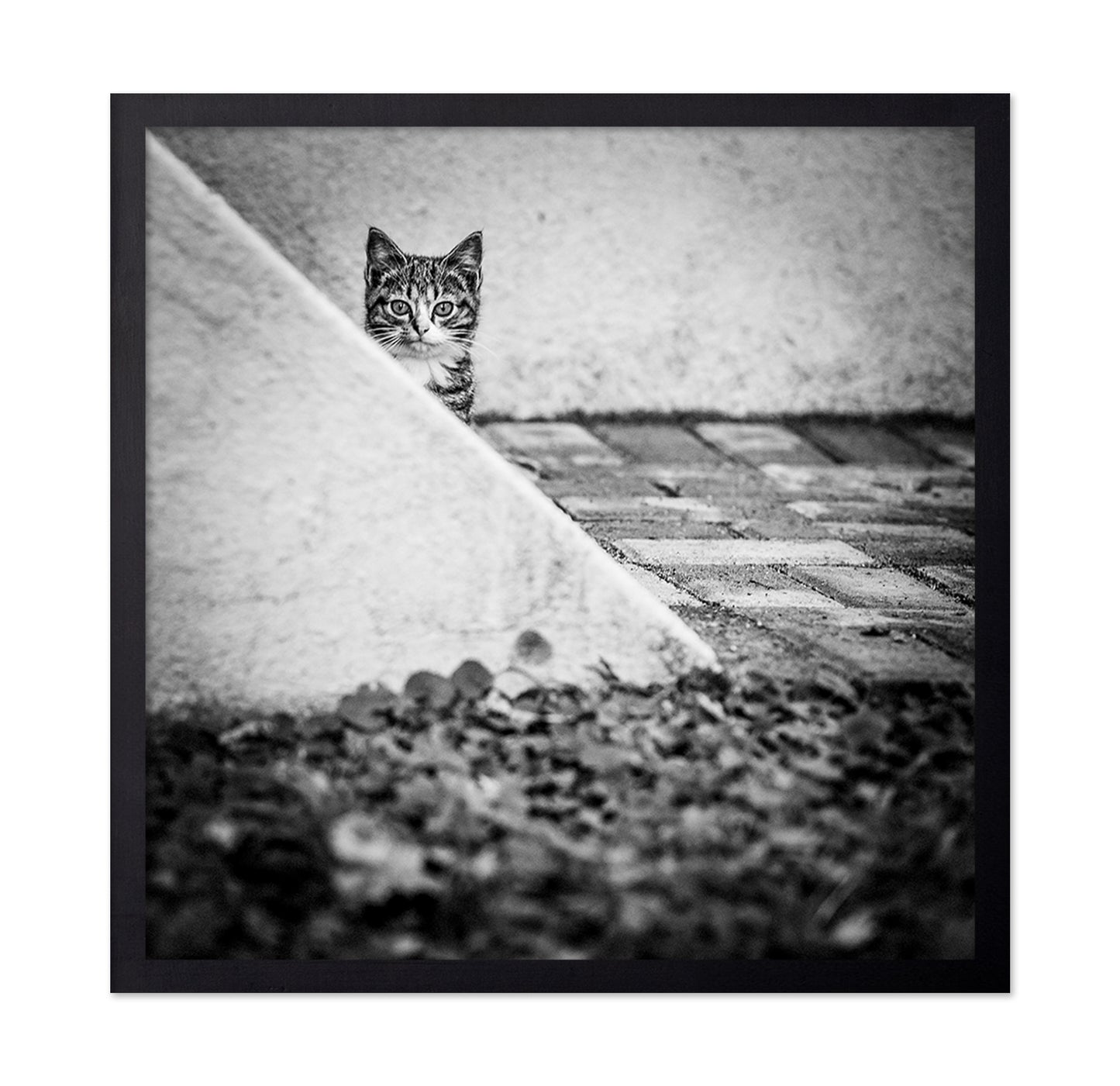 Corner Cat