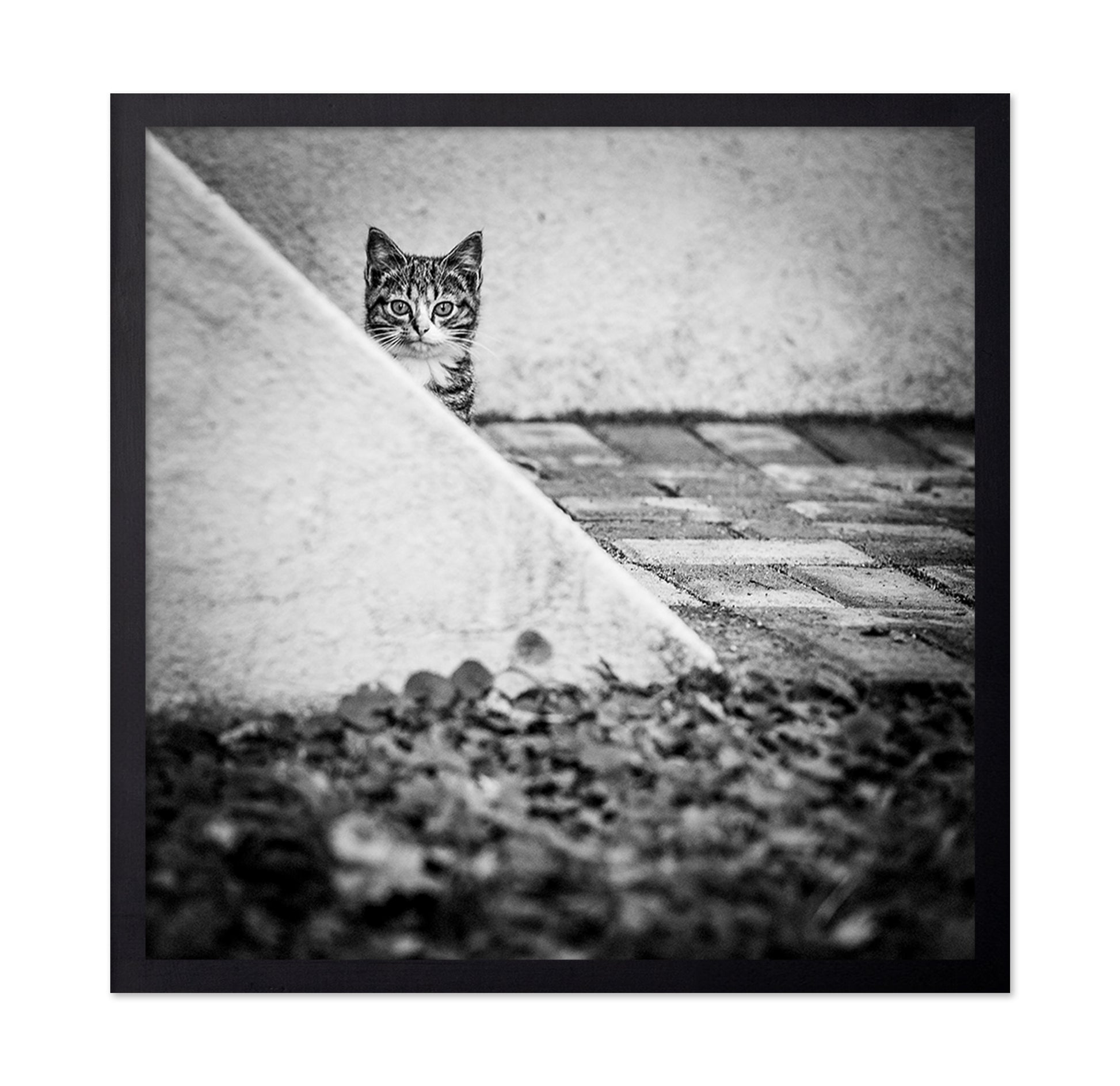 Corner Cat