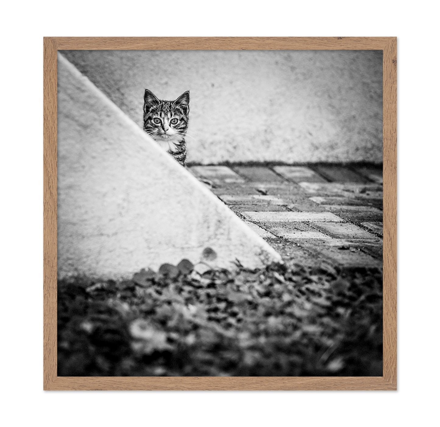 Corner Cat