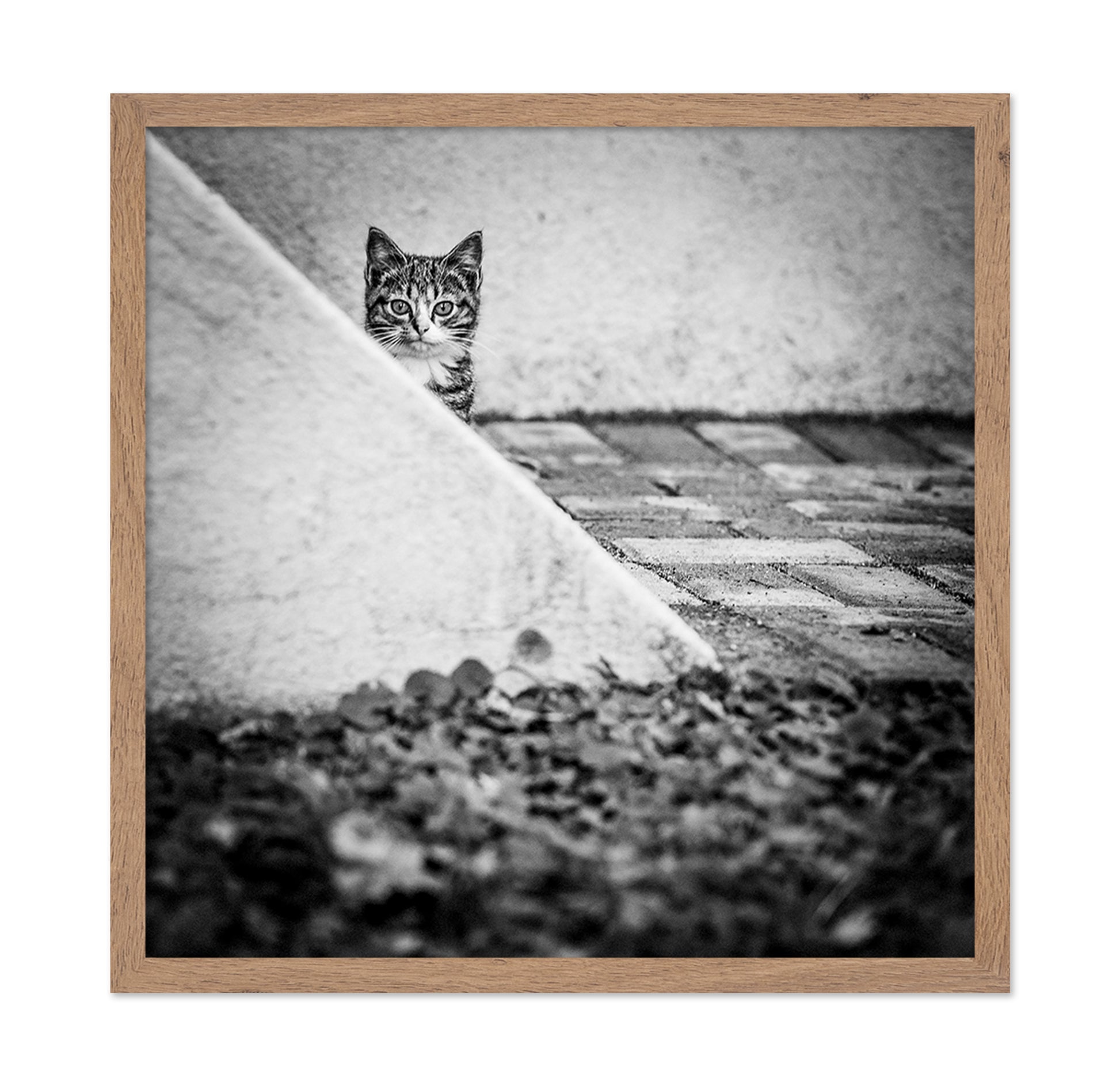 Corner Cat