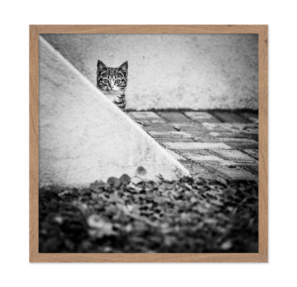 Corner Cat