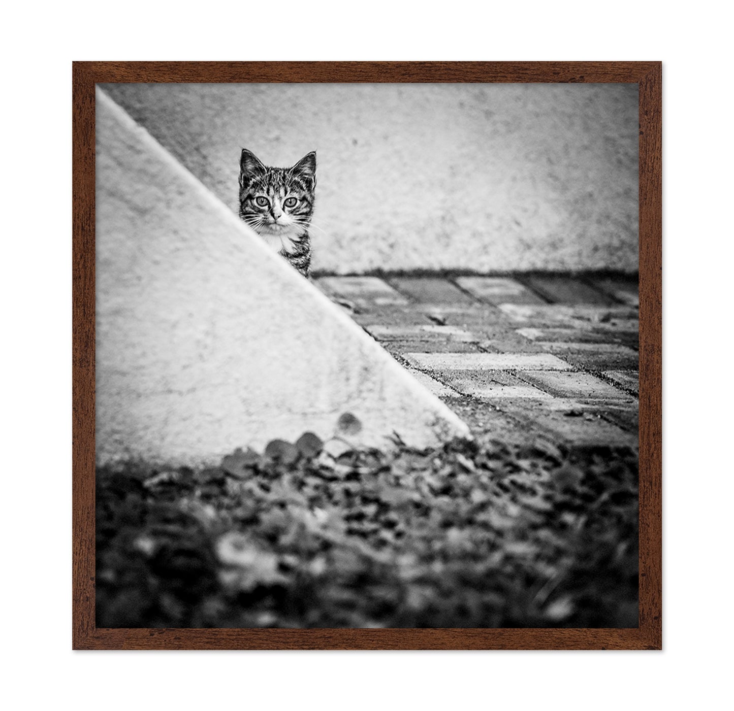 Corner Cat