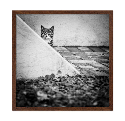 Corner Cat