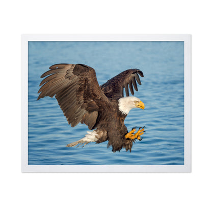 Fishing Eagle
