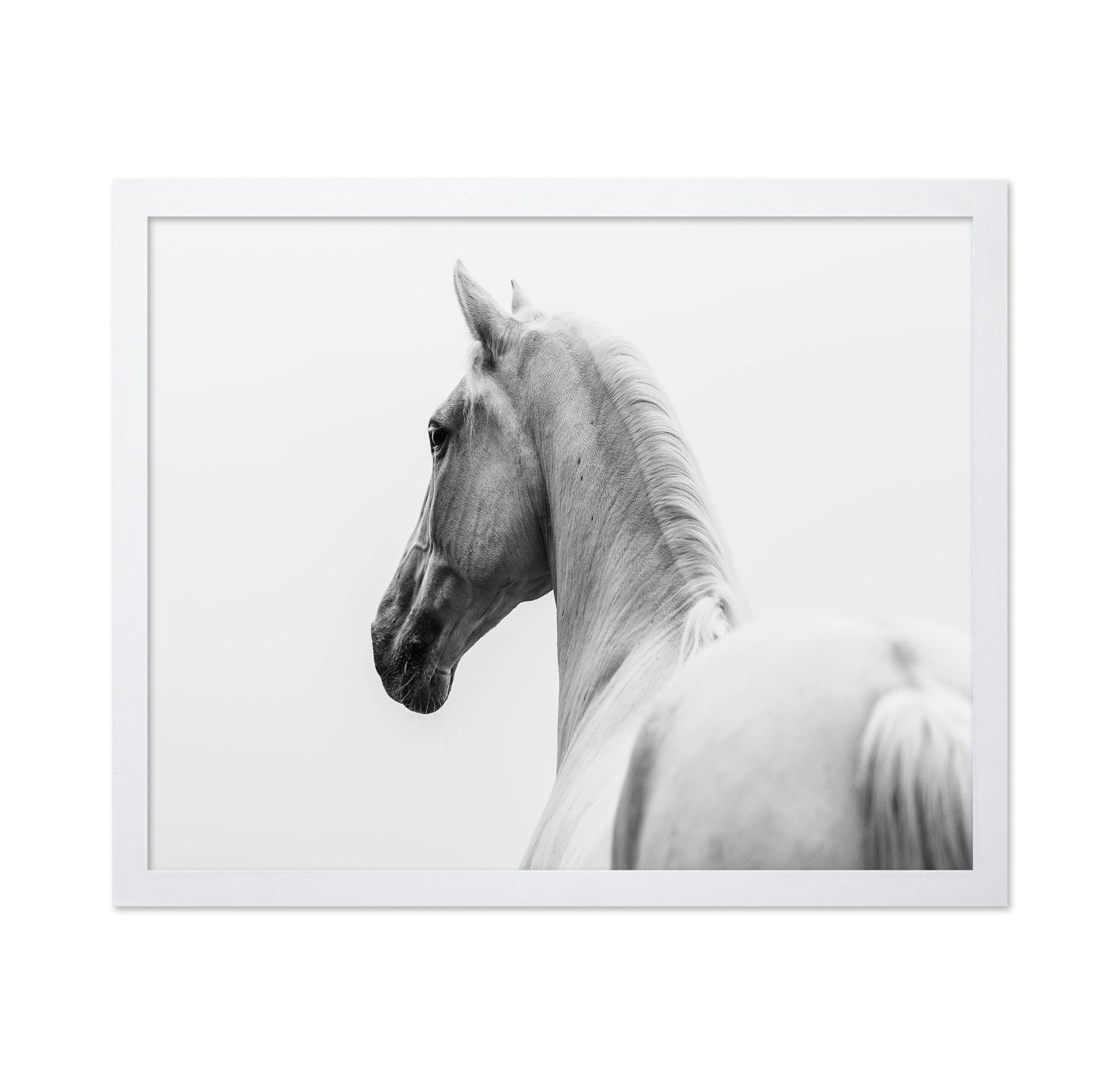 A Short Story About A Shorn Horse