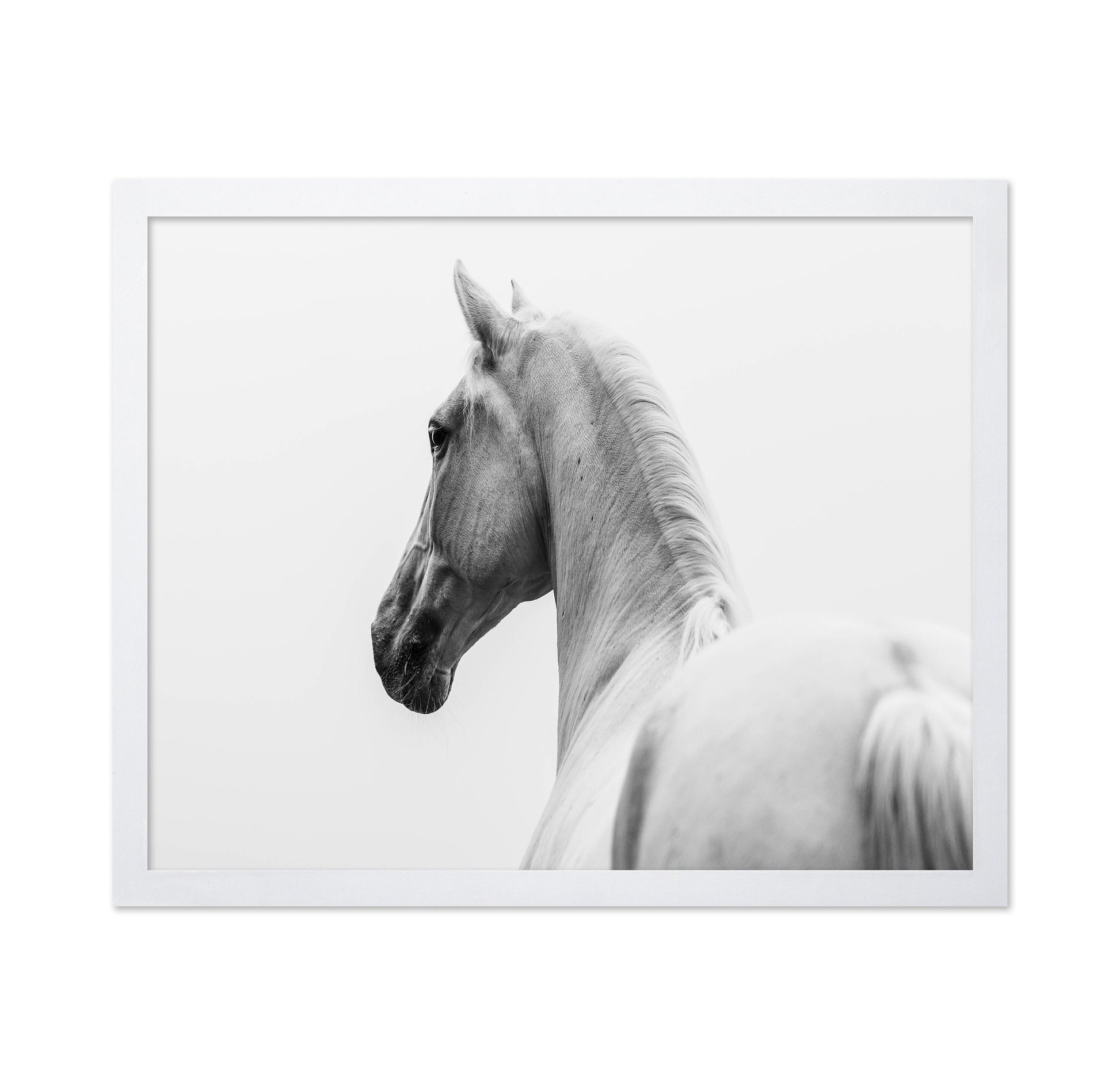 A Short Story About A Shorn Horse