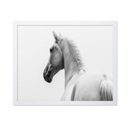 A Short Story About A Shorn Horse