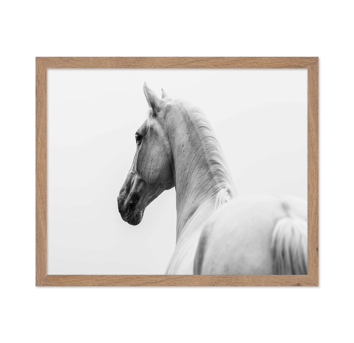 A Short Story About A Shorn Horse