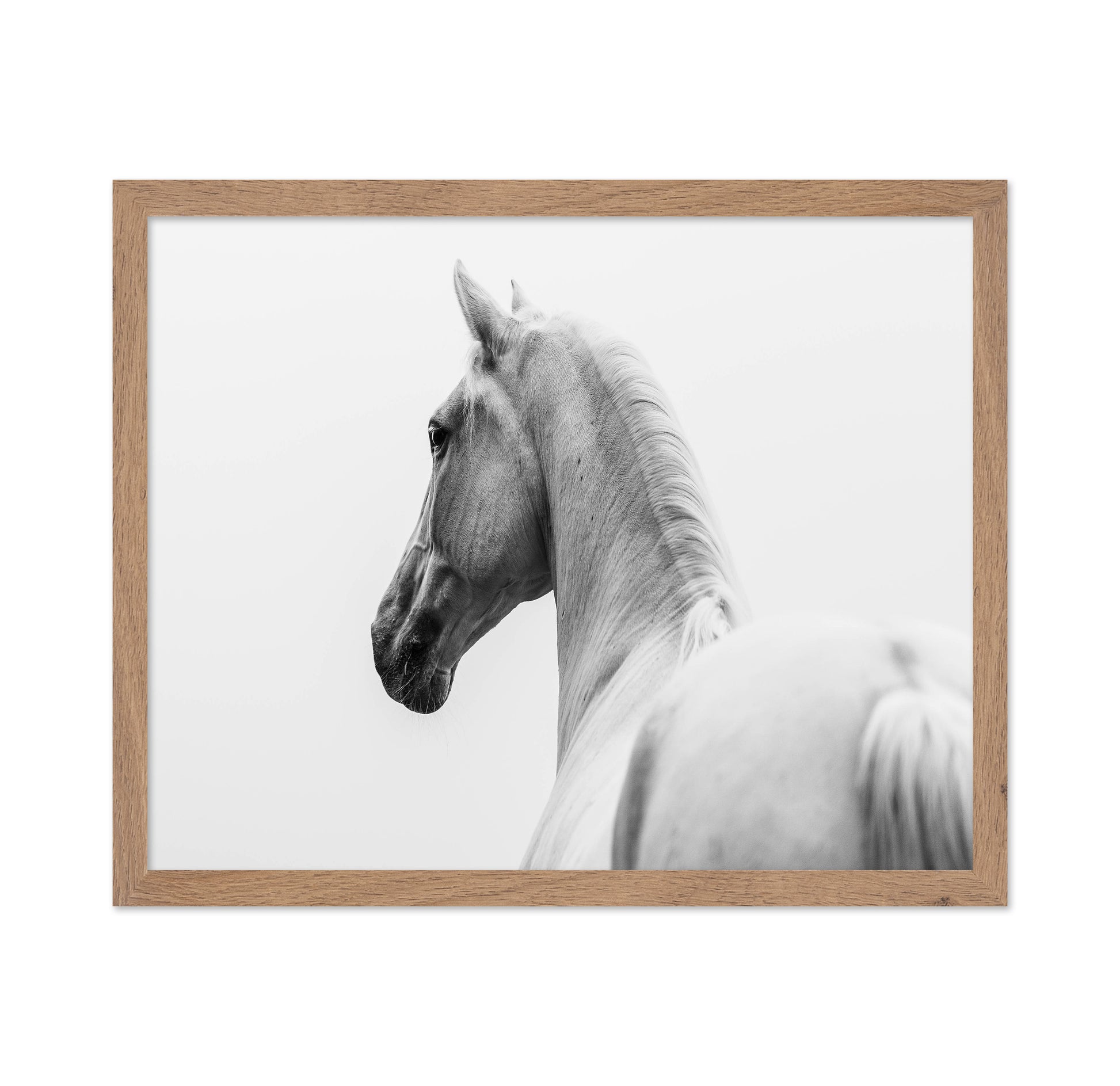 A Short Story About A Shorn Horse