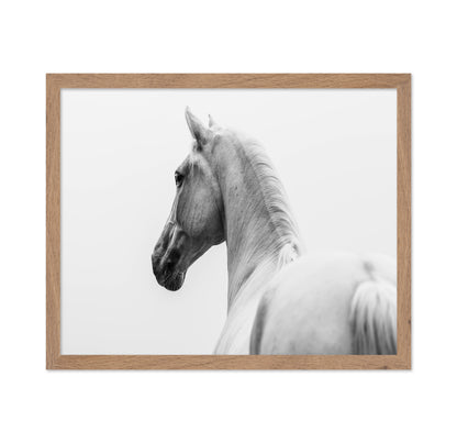 A Short Story About A Shorn Horse