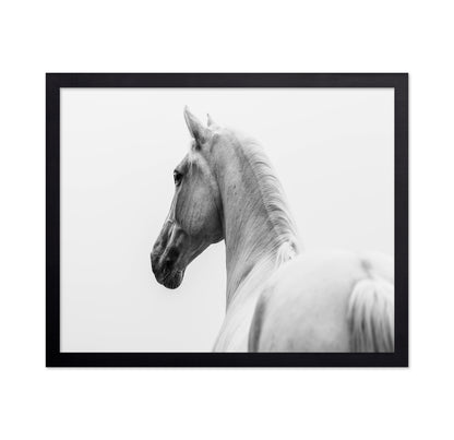 A Short Story About A Shorn Horse