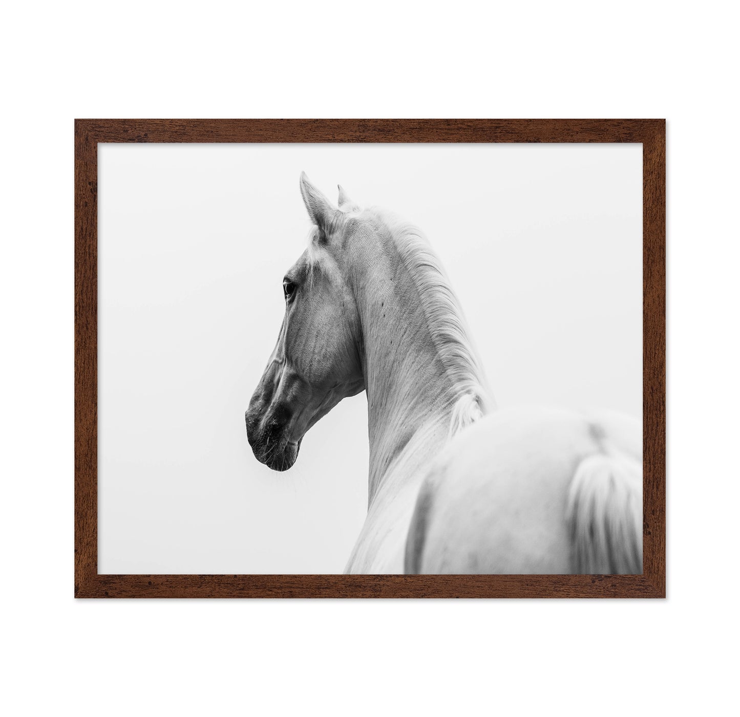 A Short Story About A Shorn Horse