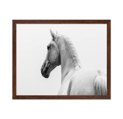 A Short Story About A Shorn Horse