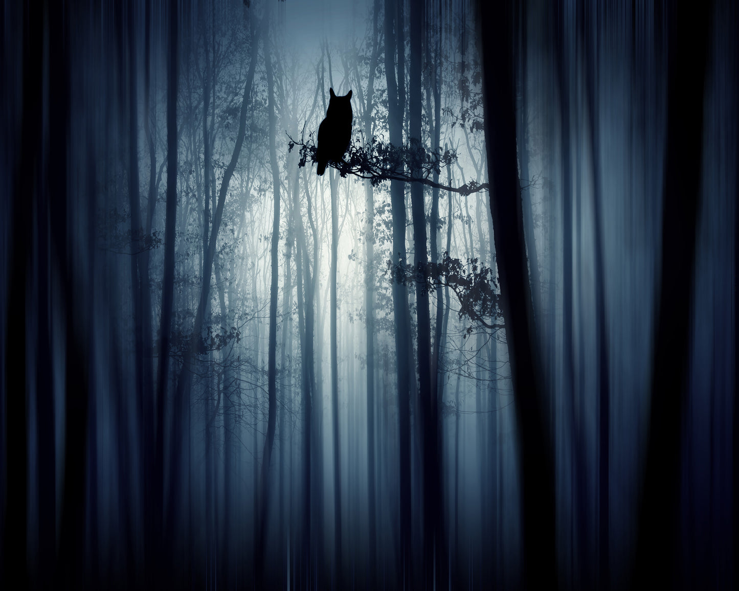 In The Forest