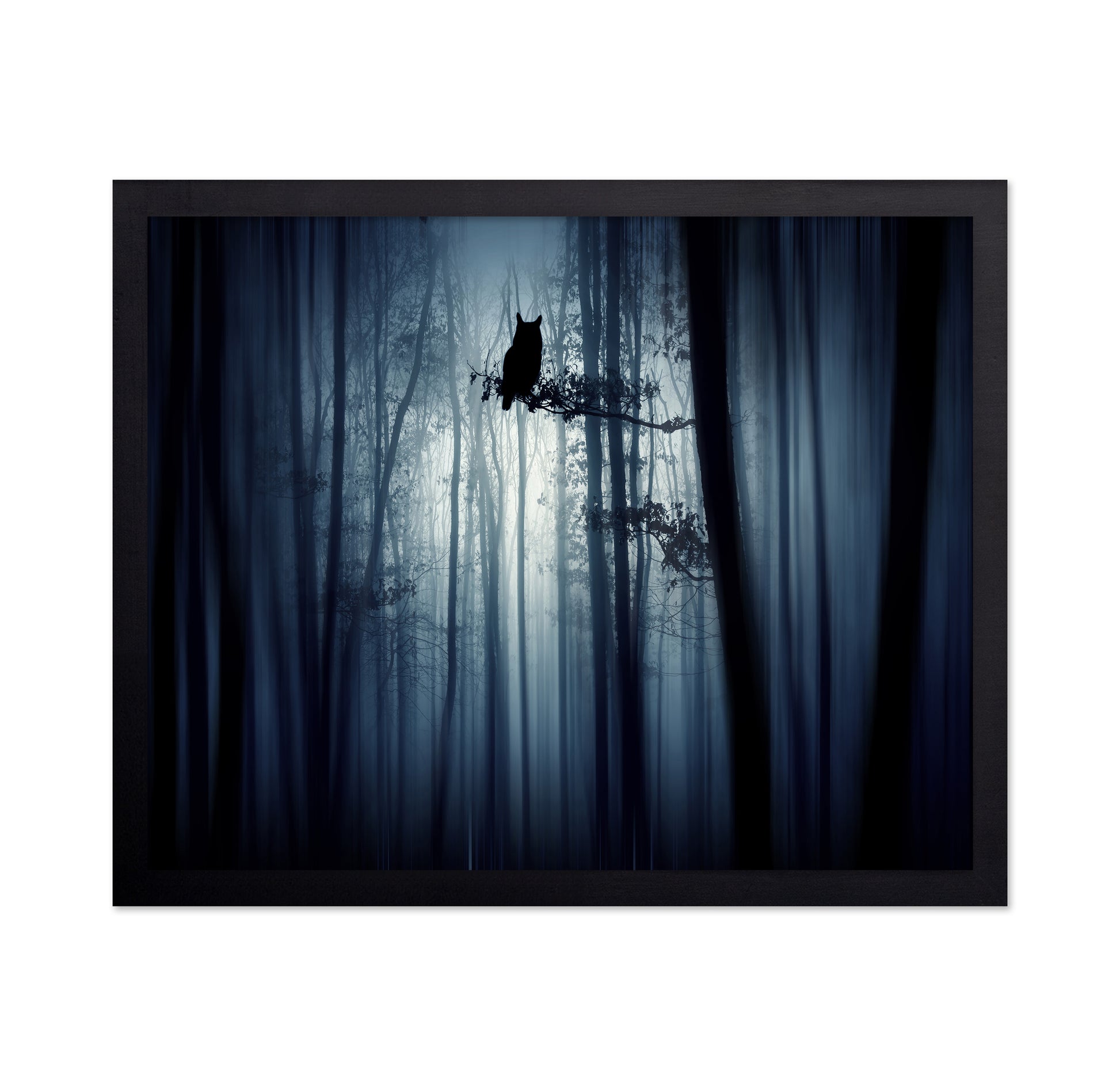 In The Forest