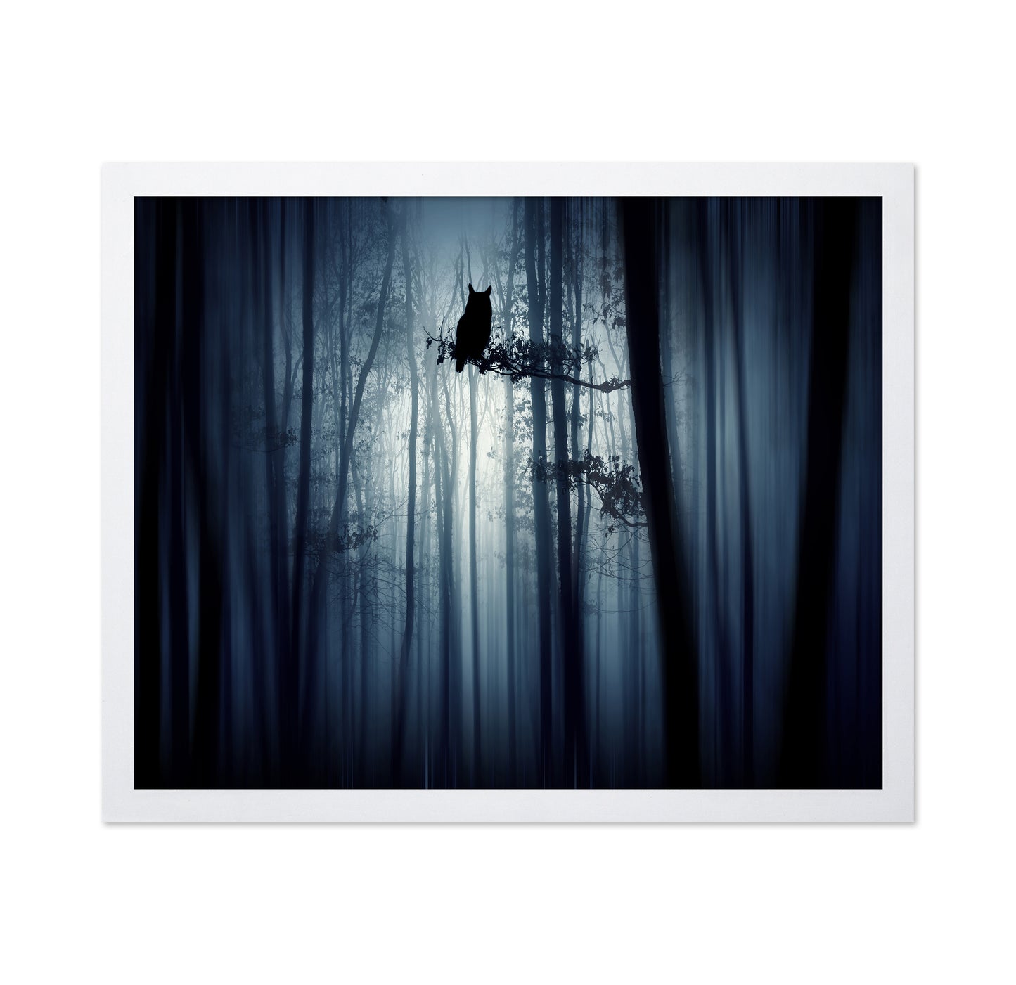 In The Forest