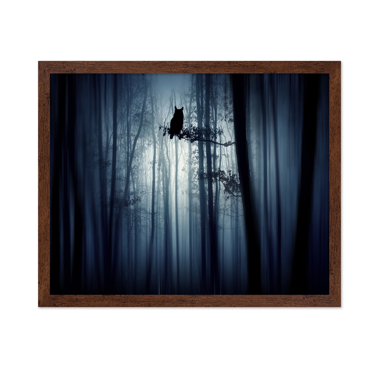 In The Forest