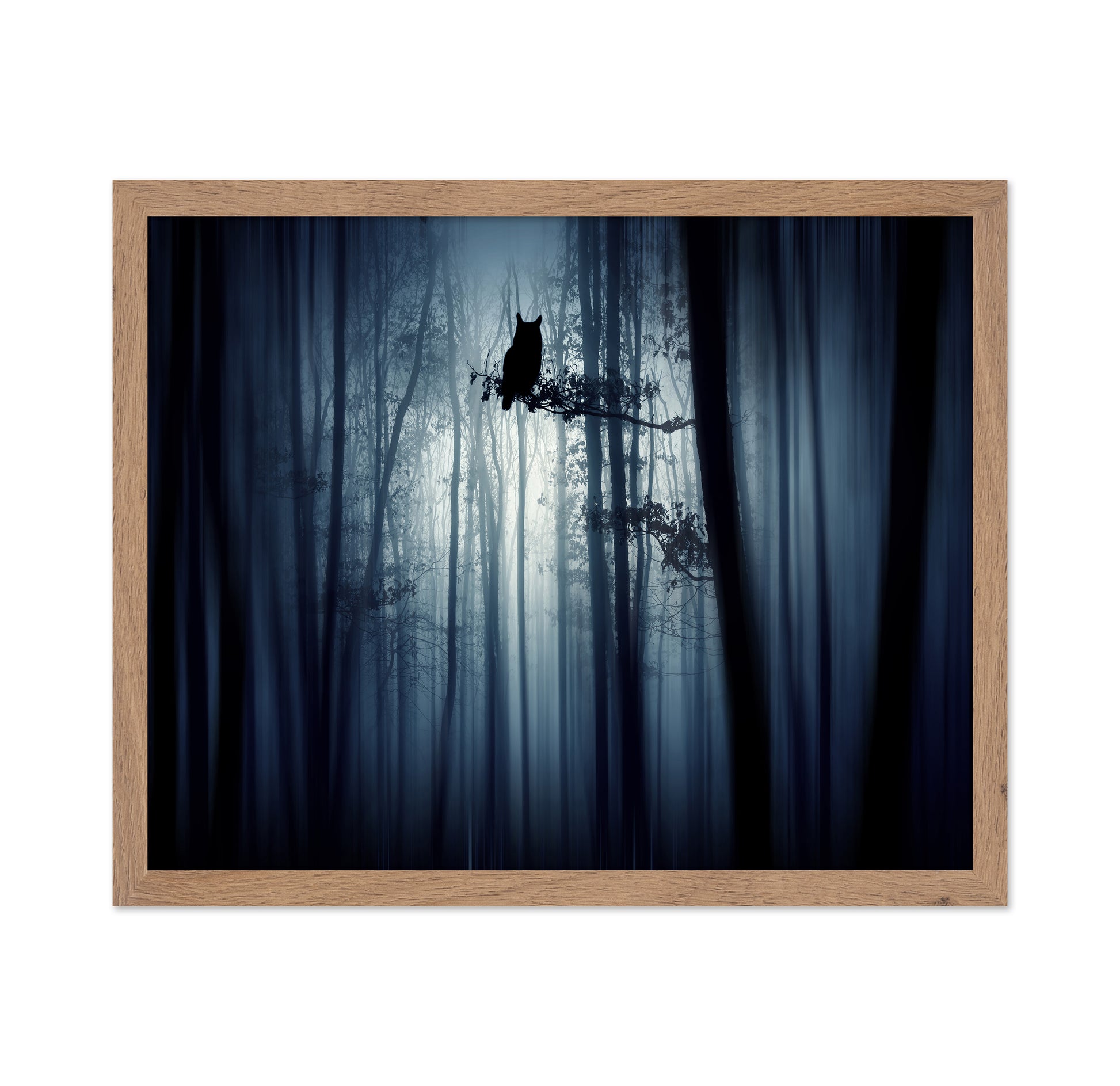 In The Forest