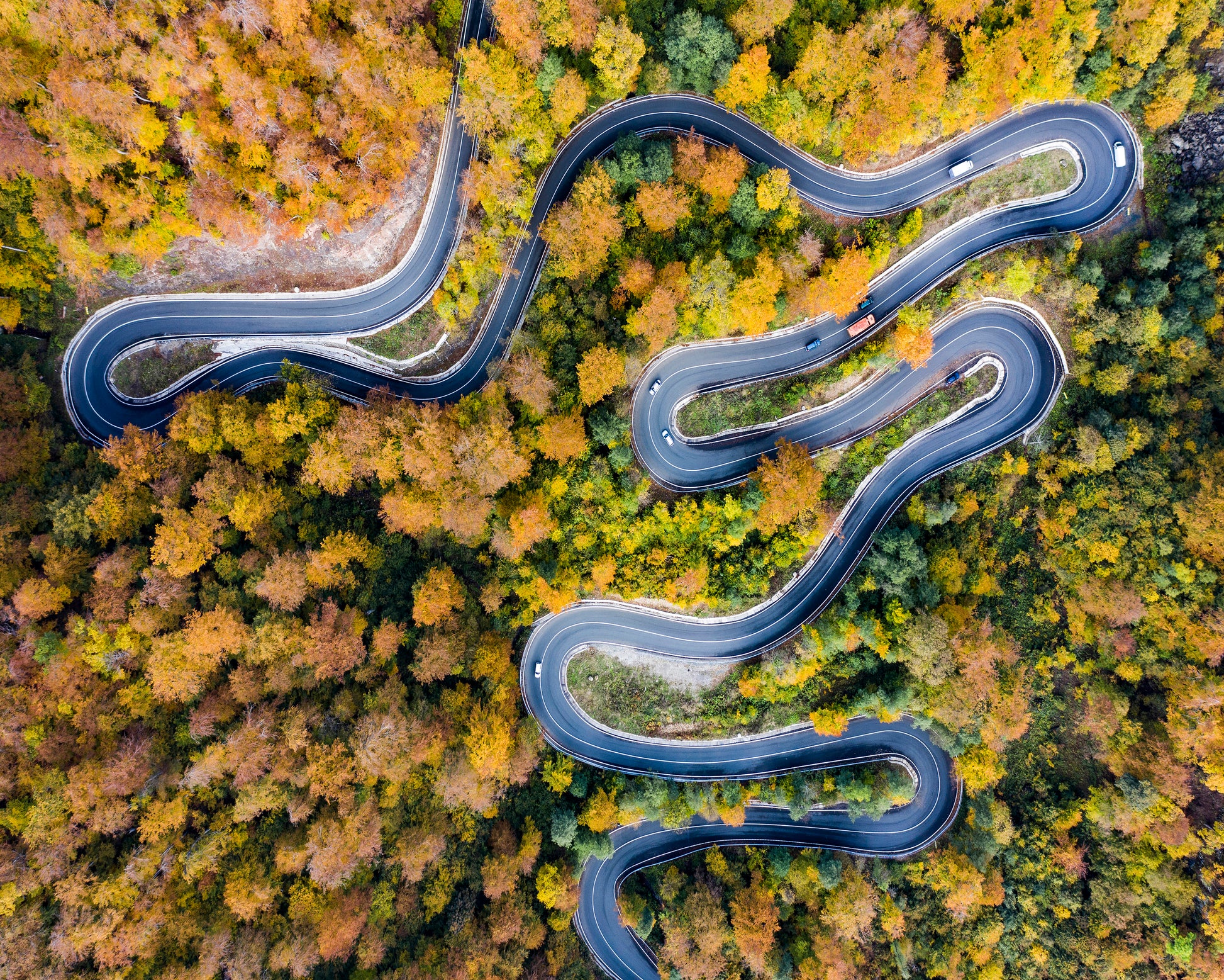 Autumn�s Winding Path