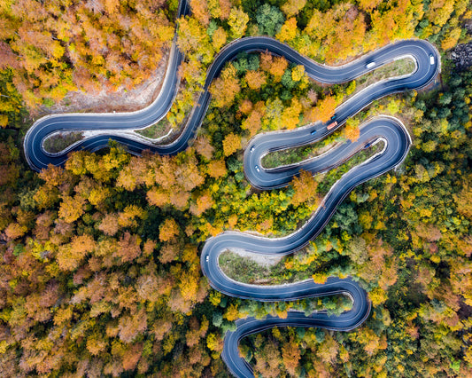 Autumn�s Winding Path