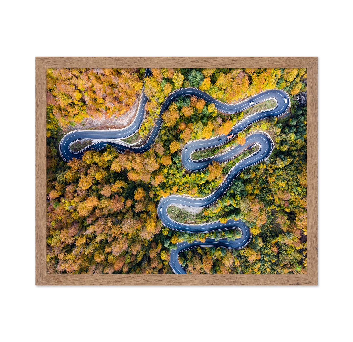 Autumn�s Winding Path