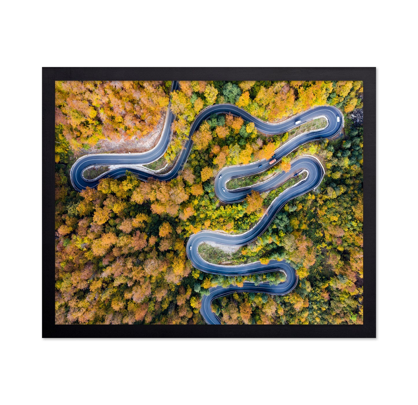 Autumn�s Winding Path