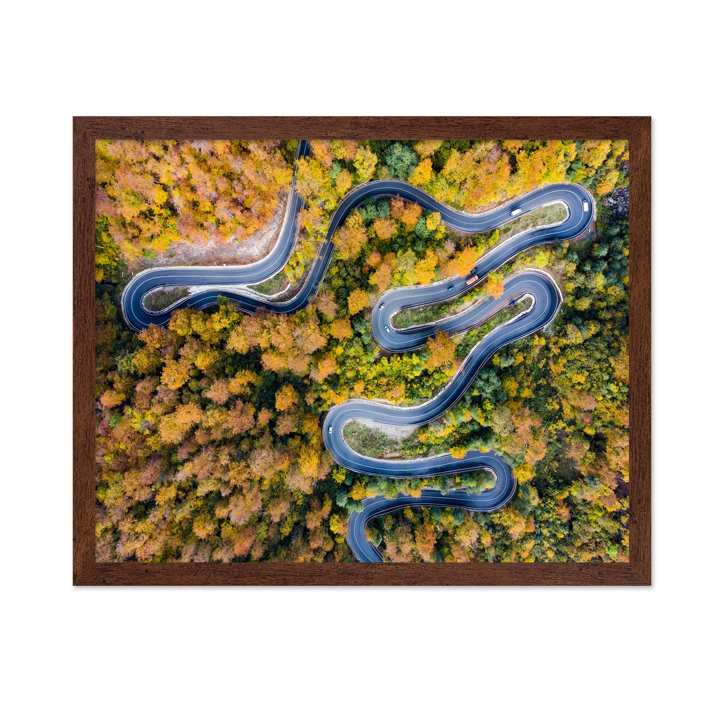 Autumn�s Winding Path
