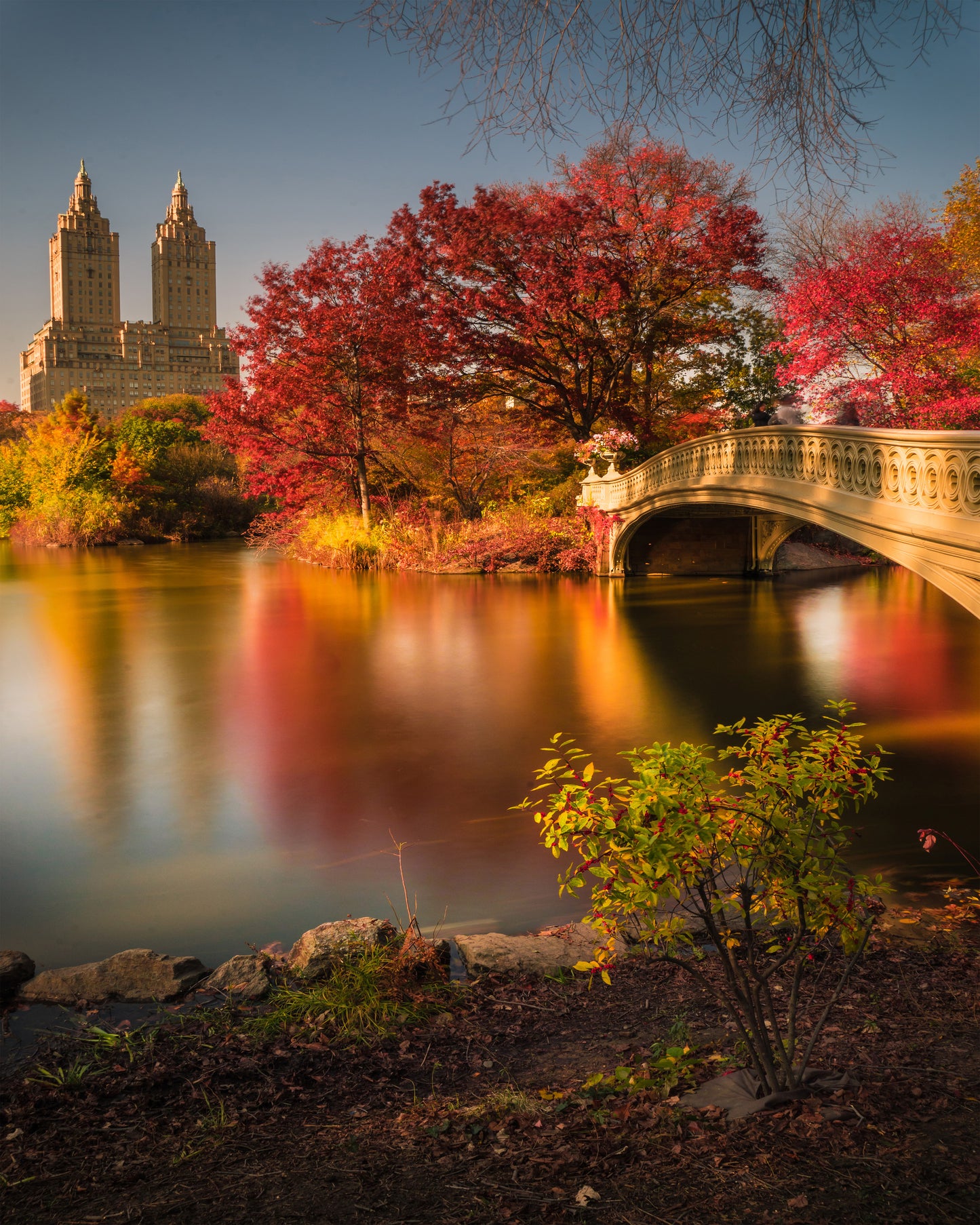 Fall In Central Park