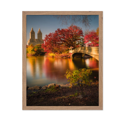 Fall In Central Park