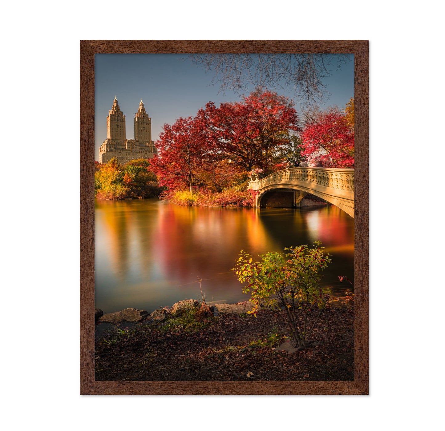 Fall In Central Park