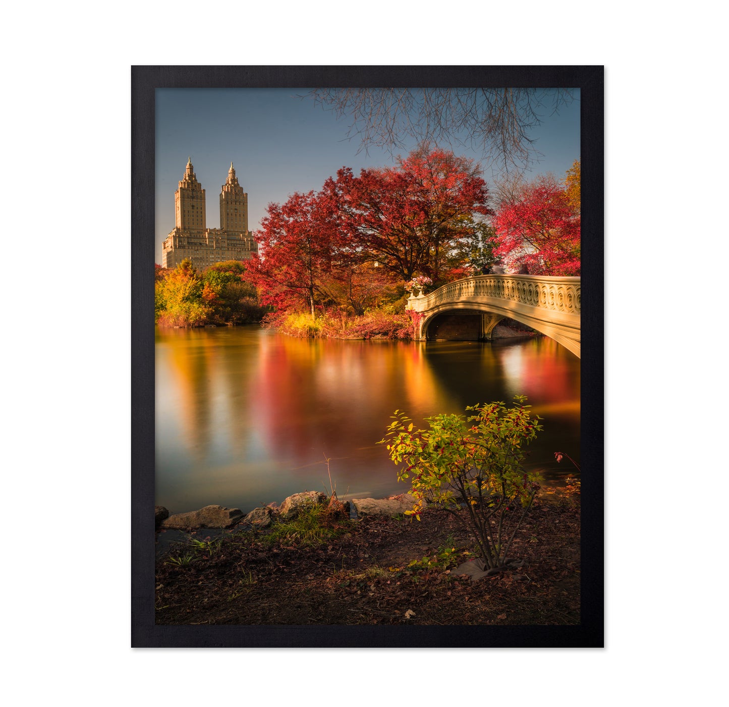 Fall In Central Park