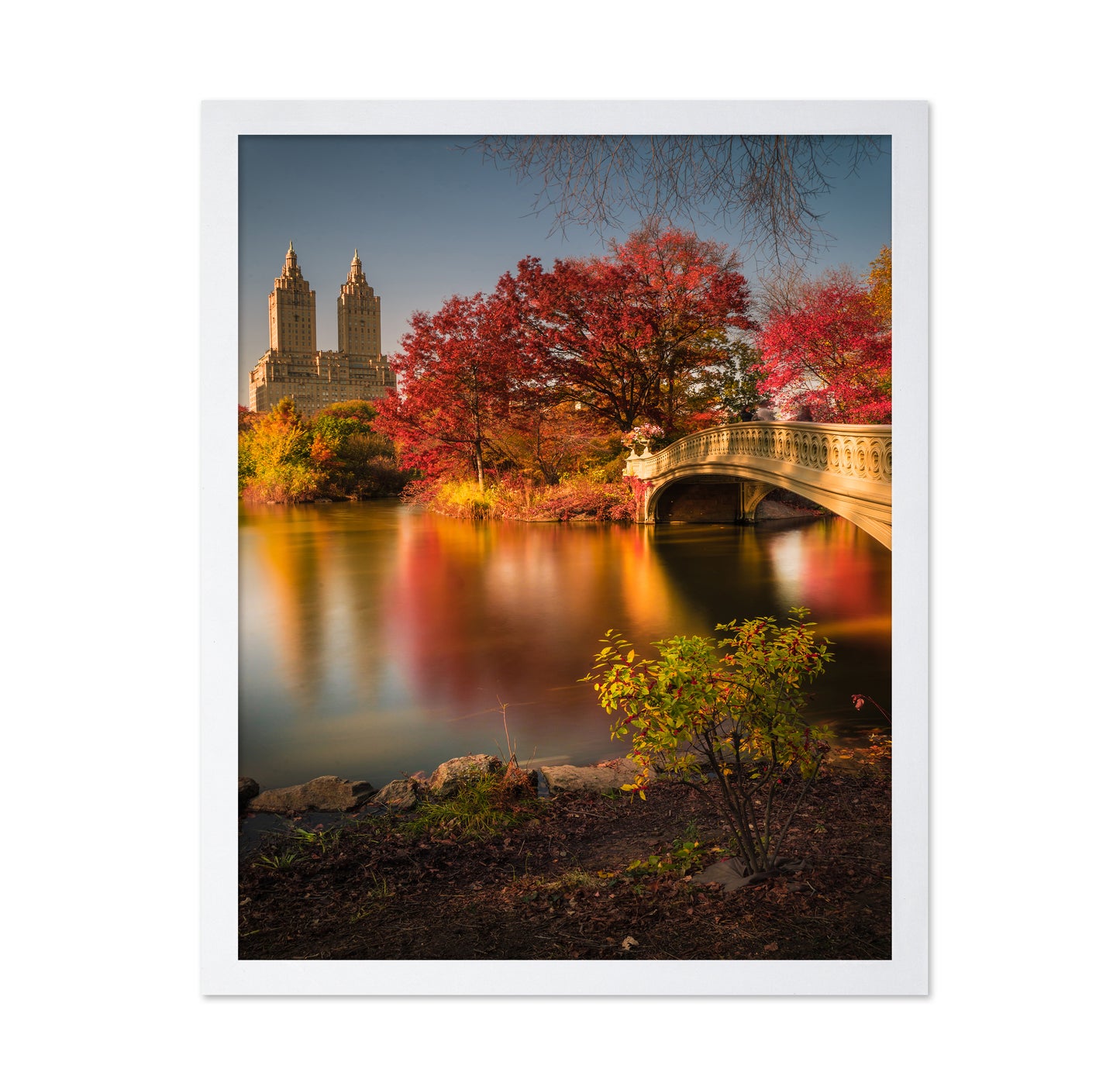 Fall In Central Park