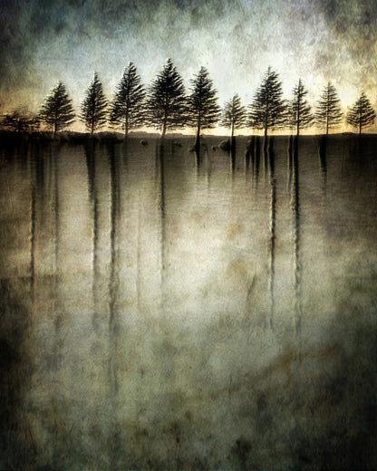 Dark Water Stands Over Me