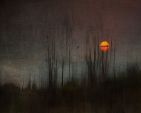 And The Moon Stood Still