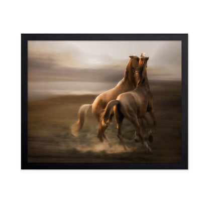 Stallion Rivalry