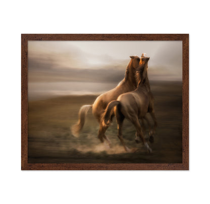 Stallion Rivalry